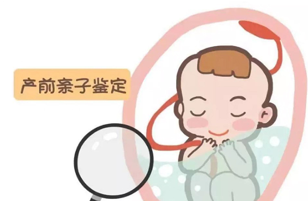 怀孕几个月如何鉴别孩子是谁的[洛阳],洛阳无创孕期亲子鉴定办理费用